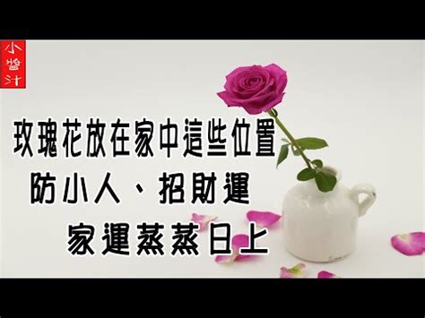 門口種玫瑰風水